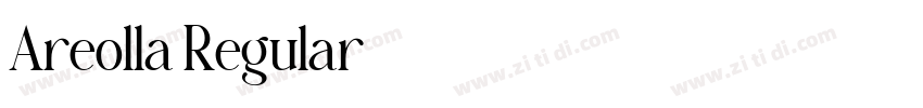 Areolla Regular字体转换 Areolla Regular字体转换